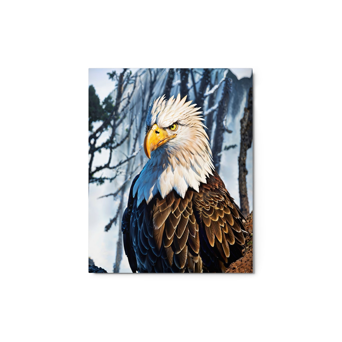 XE1 Metal Print