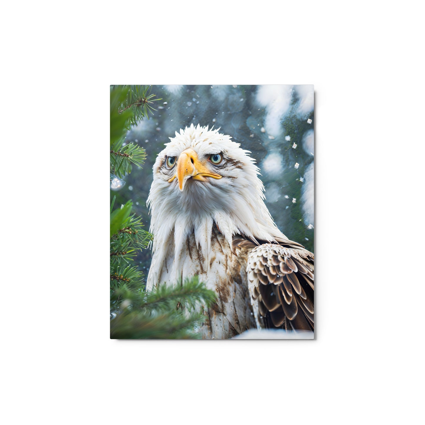 BX1 Metal Print