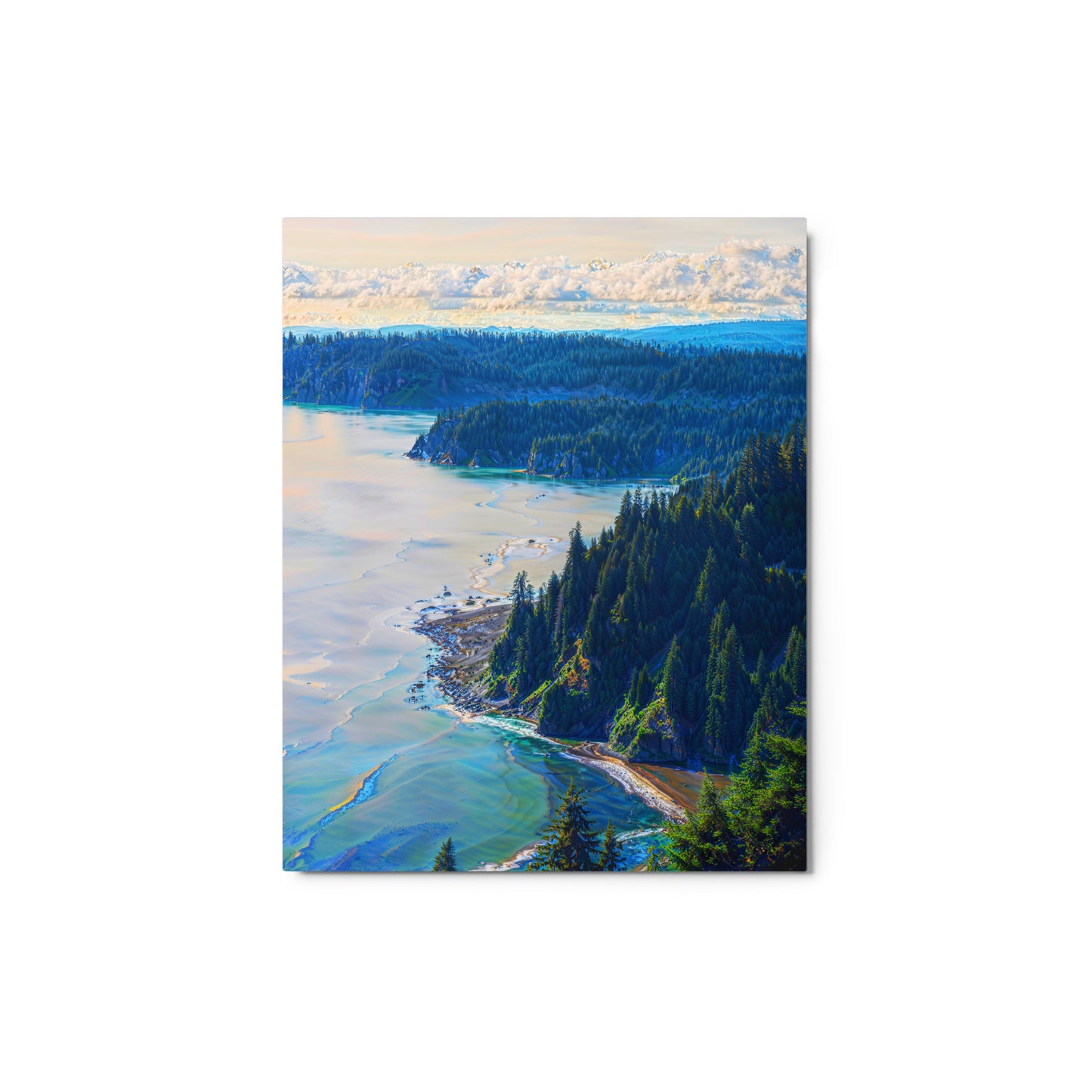 A2X Metal Prints